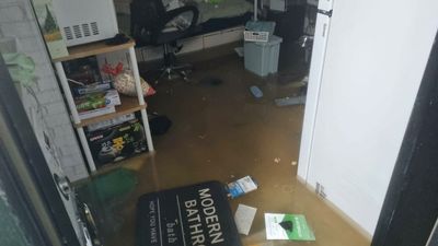 Seoul floods highlight dangers of 'Parasite'-style semi-basement housing