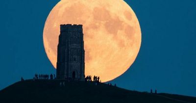 Perseids meteor shower as well as the Sturgeon supermoon to light up Irish skies tonight