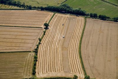 Drought will mean poor quality potato crop and financial losses, farmers say