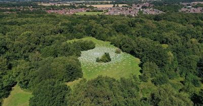 Beautiful pictures showing 'phenomenal' huge new Knowsley art installation