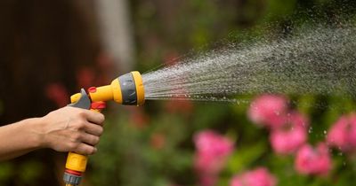 Irish householders urged to 'keep hose in the shed' in bid to conserve water during heatwave