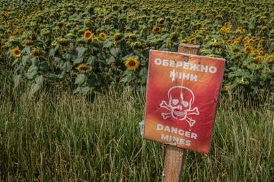 Almost one third of Ukraine needs clearing of mines and explosives, authorities say