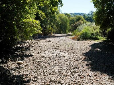 Heatwave: 13 rivers in England at lowest level ever recorded as nation suffers from crippling drought