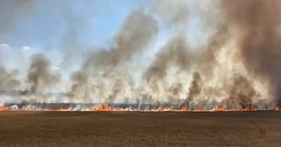 Dry conditions prompt wave of grassland fires across United Kingdom
