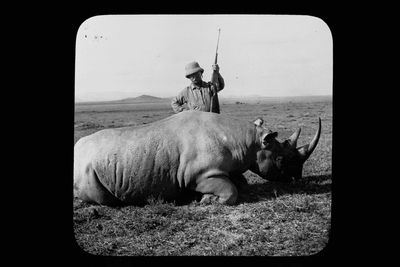 When conservation meant killing animals