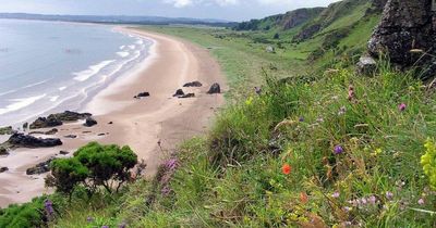 The nature reserve packed with wildlife that comes with its own beautiful beach and a hidden waterfall nearby