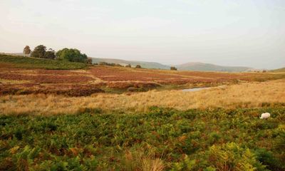 Country diary: In search of a hermit vicar’s home