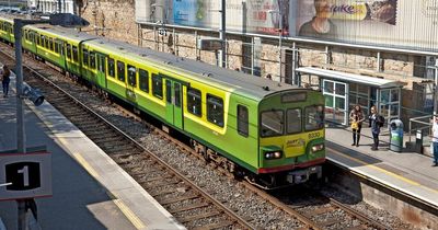 Man hospitalised after being knocked out in south Dublin train station