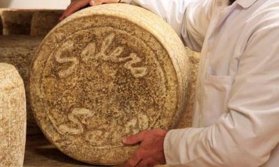 Production of French salers cheese halted due to drought