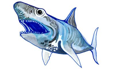 How many teeth does a shark have, and why do pigs have curly tails? Try our kids’ quiz