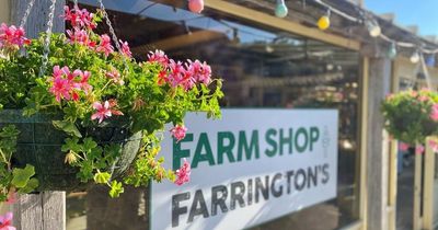 We tried lunch at the shopping village based on a farm near Bristol