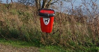 Nottingham has one of the highest amount of dog poo incidents in England