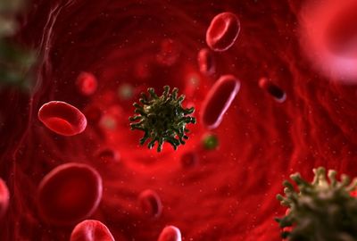 New Langya virus infects 35 in China