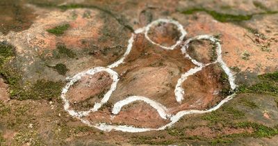 Man finds 100million-year-old dinosaur footprint under his table in 'rare' find