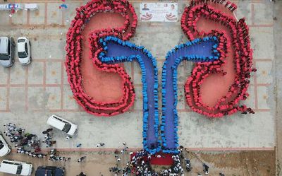 World Organ Donation Day: CM, Health Minister pledge to donate organs