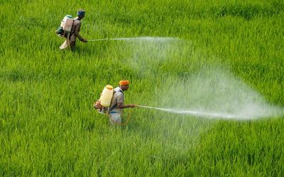 Punjab bans use of 10 insecticides