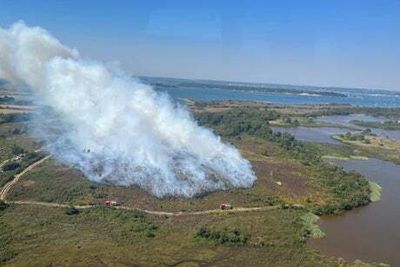 Wildfires soar by 500% in parts of the UK as London hits 34C