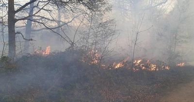 Enfield fire: 70 firefighters tackle Rammey Marsh grass fire as several blazes break out