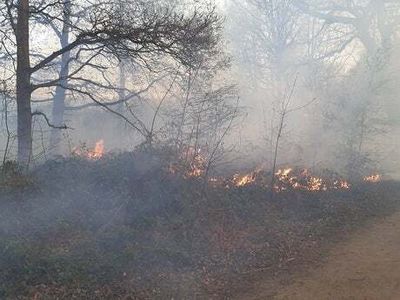 Seventy firefighters tackle large grass fire in Enfield