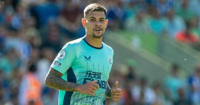 Bruno Guimaraes delivers honest admission after 'not his best game' for Newcastle in Brighton draw