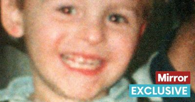 James Bulger's grave ransacked by cruel thugs for SECOND time leaving mum heartbroken