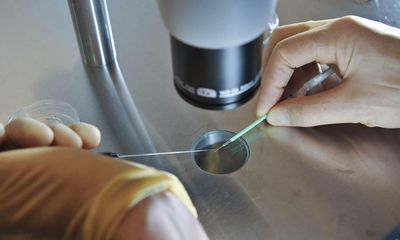 Victoria to lift IVF counselling restrictions and loosen donor conception rules