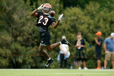 Dax Hill impressed Bengals coaches during preseason debut