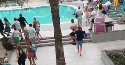 Shocking clip shows holidaymakers fighting it out in 'sunbed war' at crack of dawn