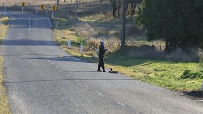 Car located after woman dies in suspected hit-and-run incident near Toowoomba