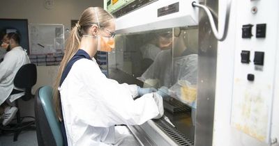 Number of new COVID infections hits second-lowest level for 2022