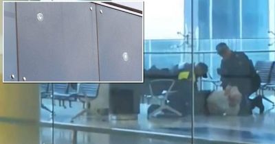 'I thought I was going to die': Chaos at Canberra Airport after 'calm' gunman fired five shots