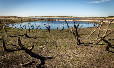 The Observer view on the woeful state of England’s water industry