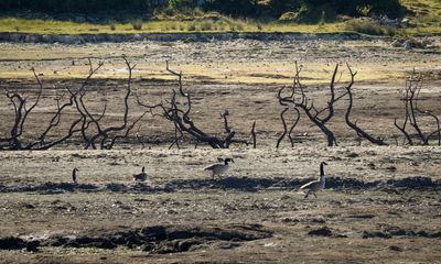 Drought in Britain: the lessons we can learn from Europe