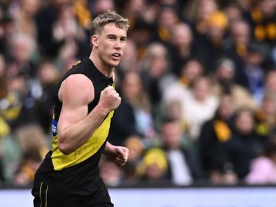 Lynch stars in Tigers' AFL rout of Hawks