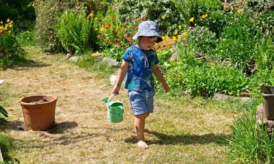 Build an ark and ditch the pots: how to save your garden in a drought