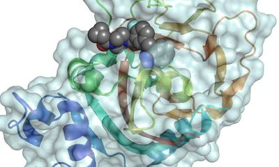 New ‘Parp inhibitors’ could prevent certain tumours appearing