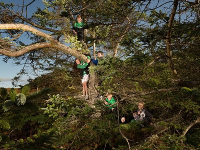 Love, war and protest: How UK’s Tree of the Year grew into celebration of nature – and untold British stories