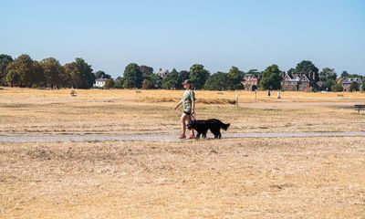 Drought in England could carry on into new year, experts warn