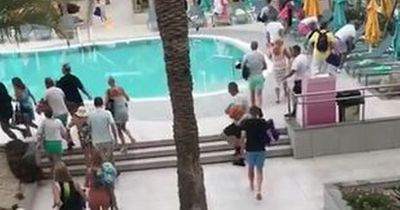 Sunbed wars as British holidaymakers fight for poolside spot at dawn in Tenerife hotel