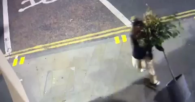 Furious Edinburgh restaurant catch woman on camera destroying £200 Dobbies planter