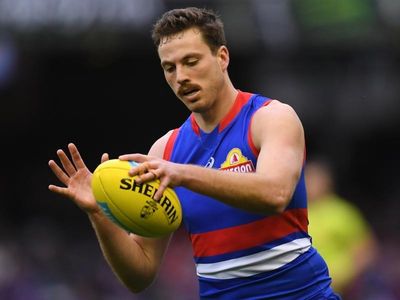 Dogs' Cordy to face AFL tribunal