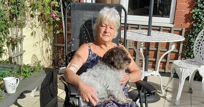 Woman has to put down all five dogs as she's first in UK to contract ultra rare disease