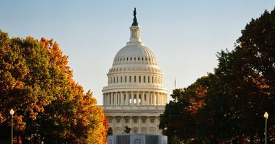 Man drives car into barricade near US Capitol, fires shots into air and then kills himself