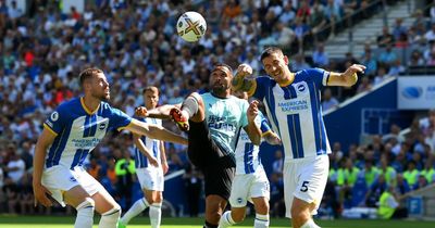 Alan Shearer criticises referee after Callum Wilson denied goal in Brighton draw