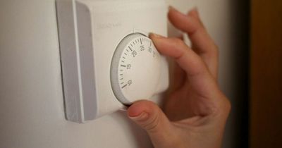 Two simple energy tricks which could save you nearly £1,000 on bills a year