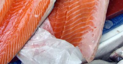 Scottish salmon industry facing ‘acute’ labour shortages