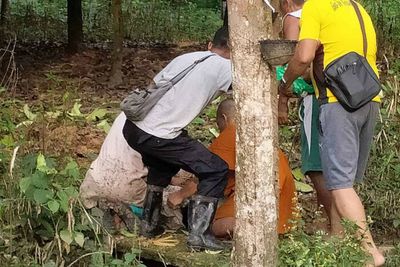 Ranger killed, police, civilians injured by plantation bombs