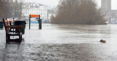 UK weather: 31 flood alerts issued ahead of 'widespread' thunderstorms - see full list