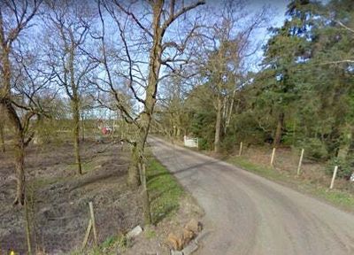 Two charged with arson after disposable barbecue starts fire in woodland