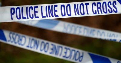 Lanarkshire police launch appeal after two cars deliberately torched in street